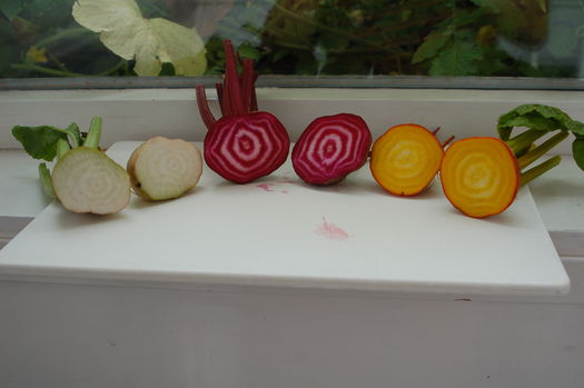 White, Red and Golden Beets