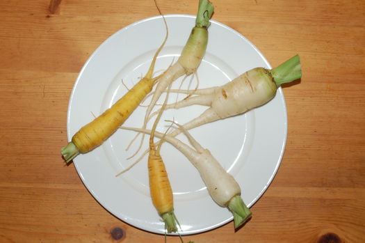 More Bifurcated Carrots