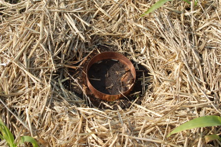 How to Make a Wood and Copper Ring from a Pipe Fitting - Westfarthing  Woodworks