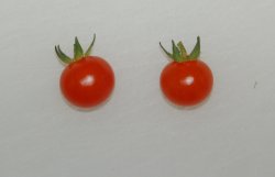 Currant Tomatoes