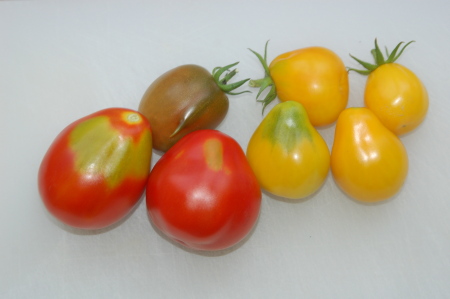 Japenese Trifele Tomatoes