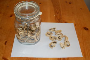 Mushrooms After Dehydrating