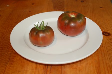 Black Prince Tomato