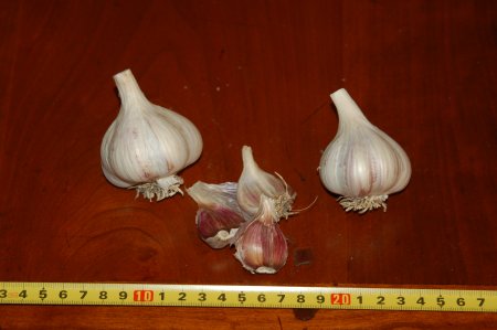 Pyong Vang Garlic