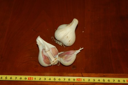 Rosewood Garlic