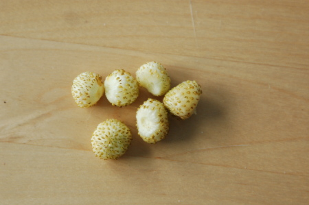 White Alpine Strawberries