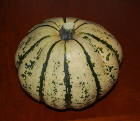 Squash