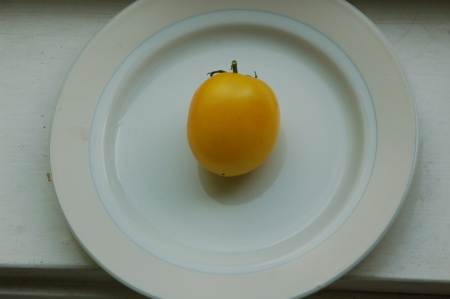 Yellow Taxi Tomato