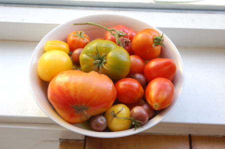 Diversity in Tomatoes